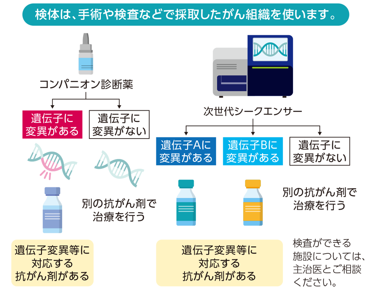 診断画像