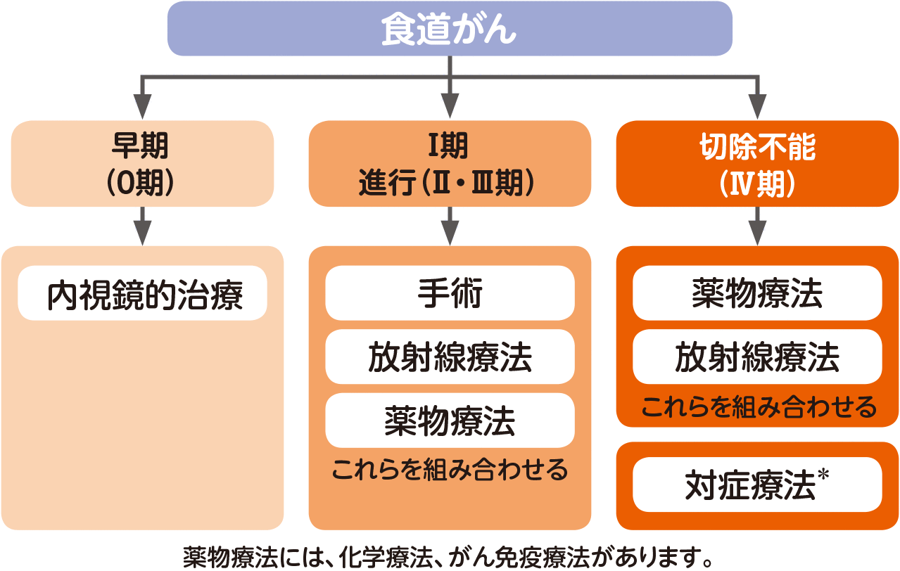 食道がんの治療法