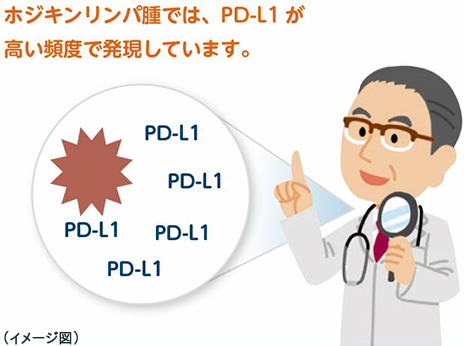 PD-L1