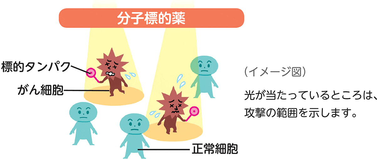 分子標的薬