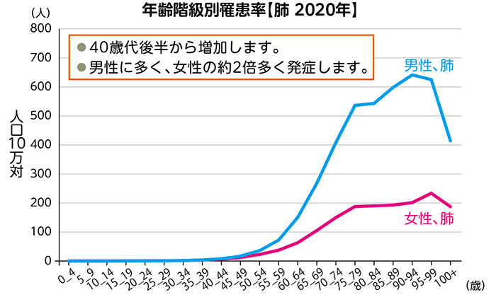 肺がんの罹患率を表したグラフ。肺がんの罹患率は40歳代後半から増加します。男性に多く、女性の3~4倍多く発症します。