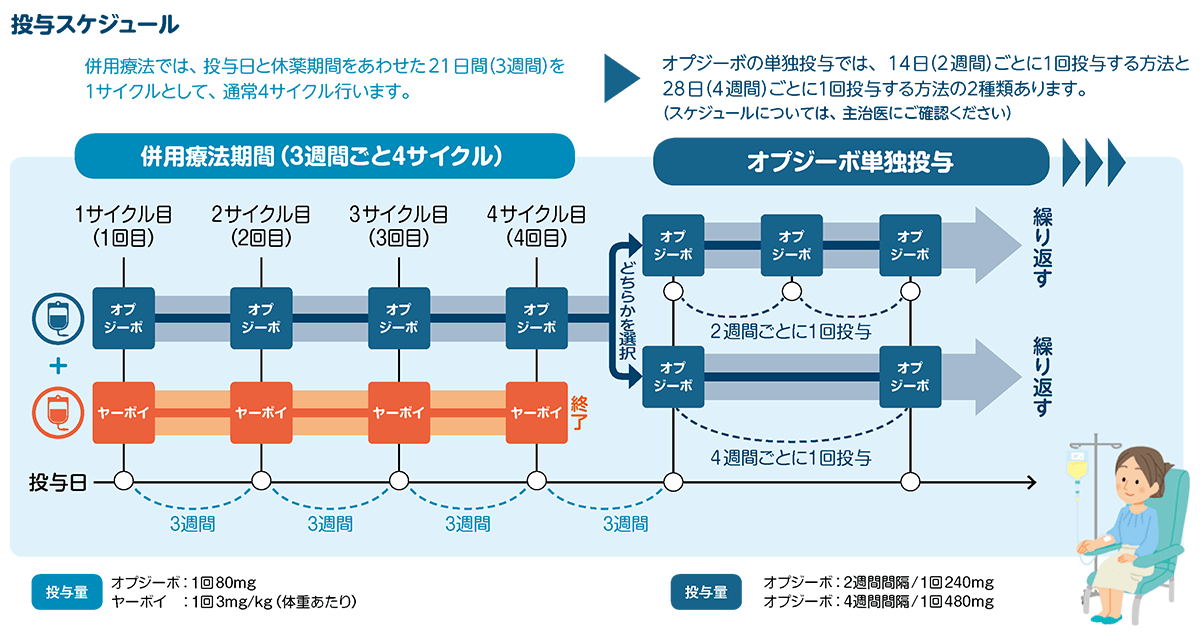 投与スケジュール