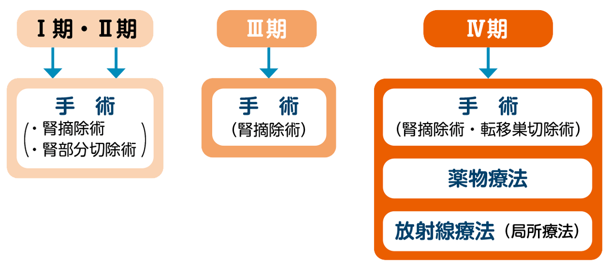 腎細胞がんの治療の概略図。Ⅰ期、Ⅱ期は手術（腎摘除術・腎部分切除術）、Ⅲ期は手術（腎摘除術）、Ⅳ期は、手術（腎摘除術・転移巣切除術）や薬物療法や放射線療法を行います。Ⅲ期、Ⅳ期は、手術前に分子標的薬による薬物療法を行うこともあります。