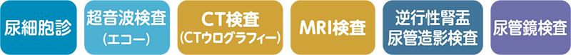 腎盂・尿管がんの診断で行われる検査※