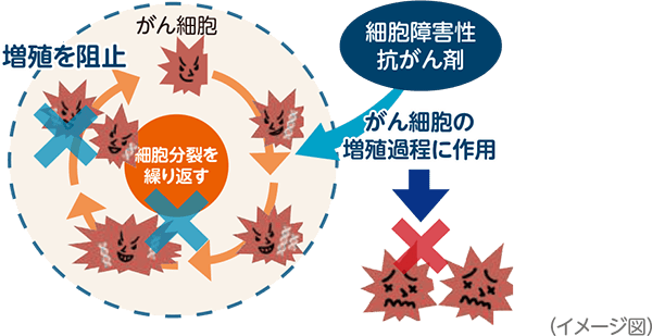化学療法(細胞障害性抗がん剤)