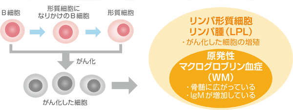 メカニズム