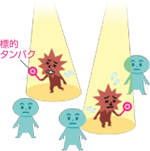 イメージ図