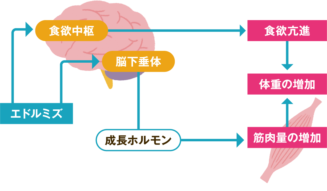 しくみの図