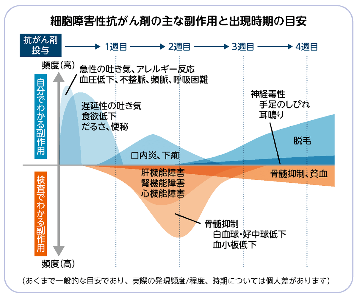 参考：化学療法の主な副作用について