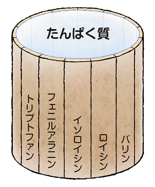 アミノ酸スコア100