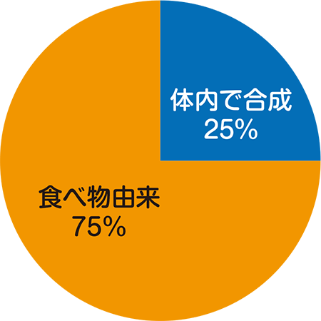 筋たんぱく質の構成成分