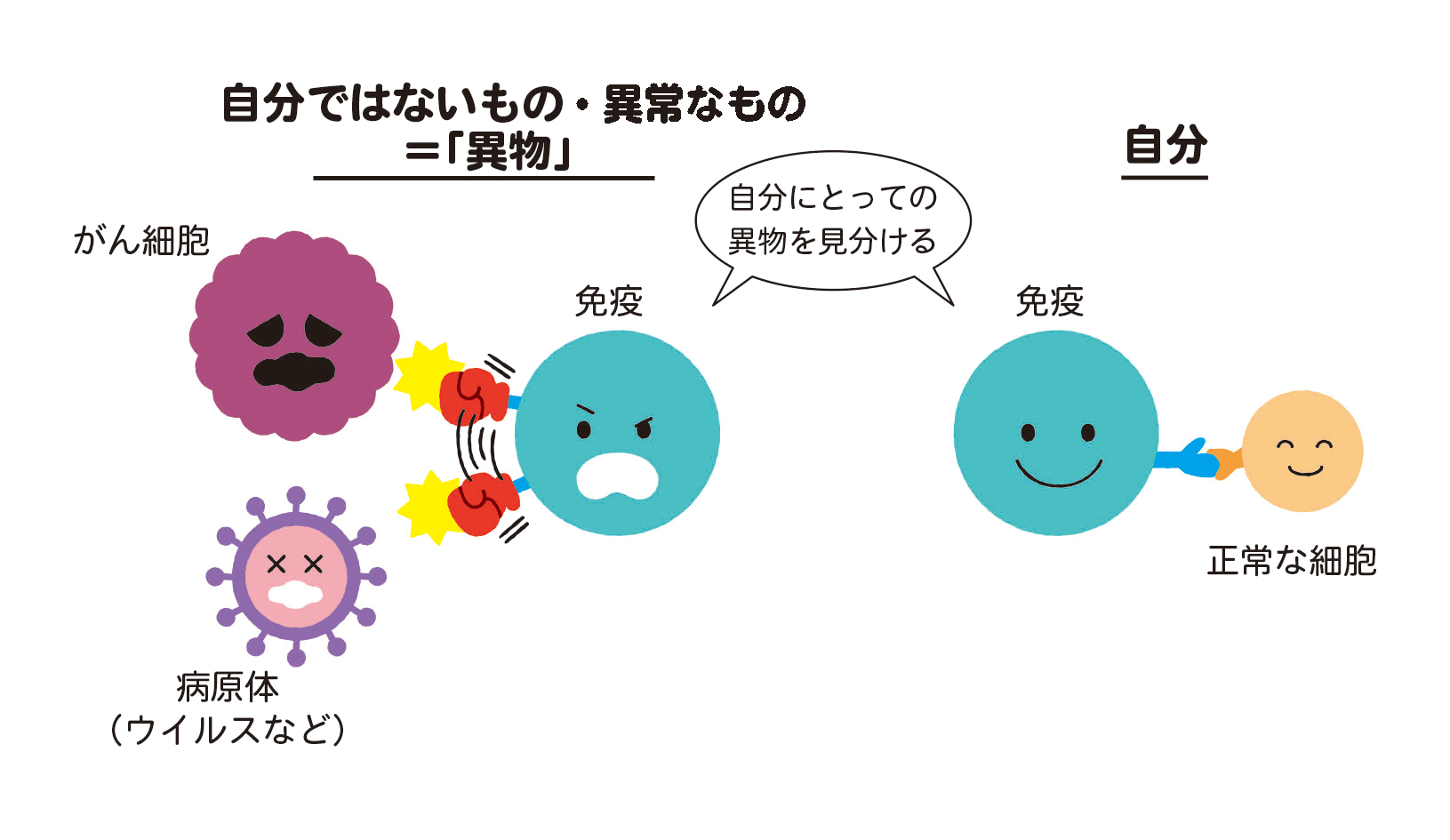 がんの発生と免疫の関係